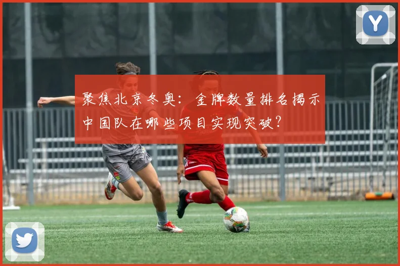 聚焦北京冬奥：金牌数量排名揭示中国队在哪些项目实现突破？