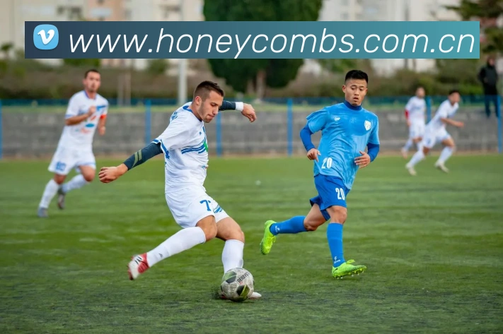 半岛网官网登录入口APP 高清赛事图